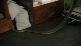 The Office AU - Season 01 Episode 07